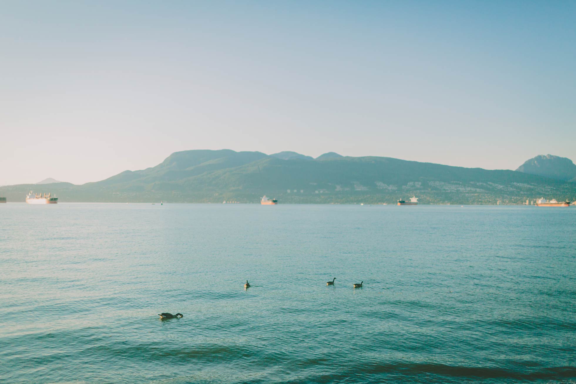 Swimmer at best open water swimming spot in Vancouver