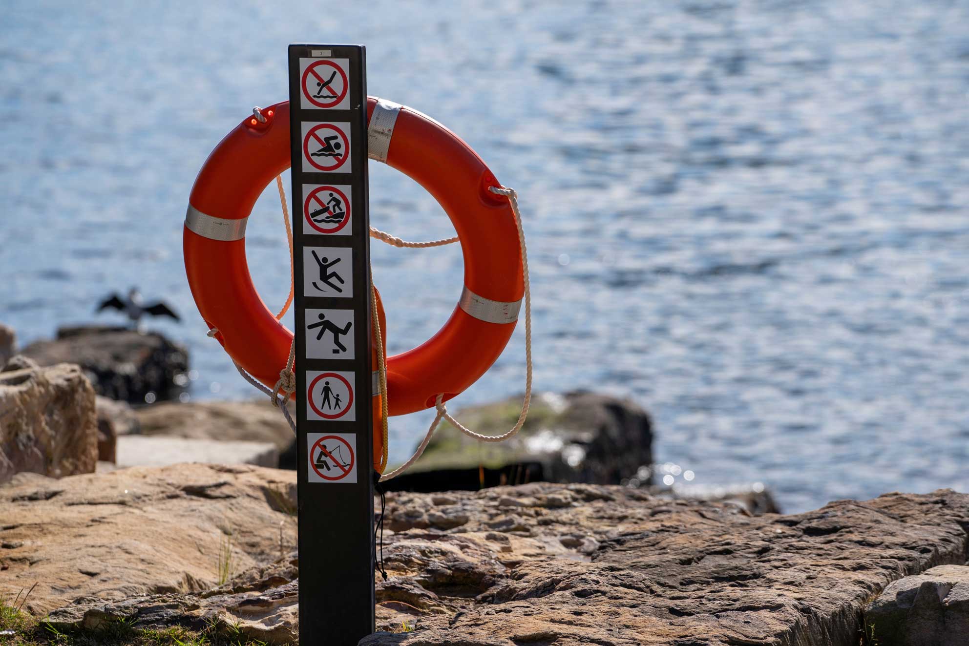 Swimmer practicing open water swimming safety in Vancouver